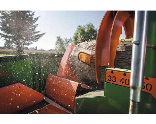 Buchen, Eiche, Esche, Robinie lose 1 Schüttraummeter ca. 28-33 cm, waldfrisch – Image 4